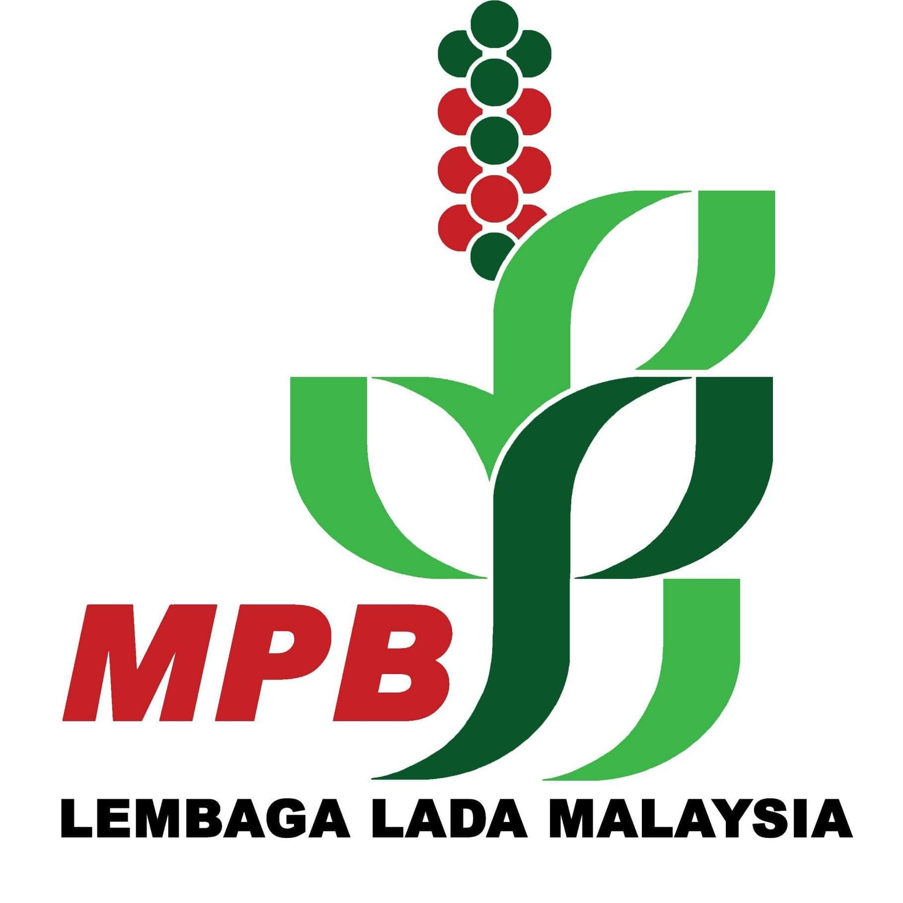 Malaysian Pepper Board Image