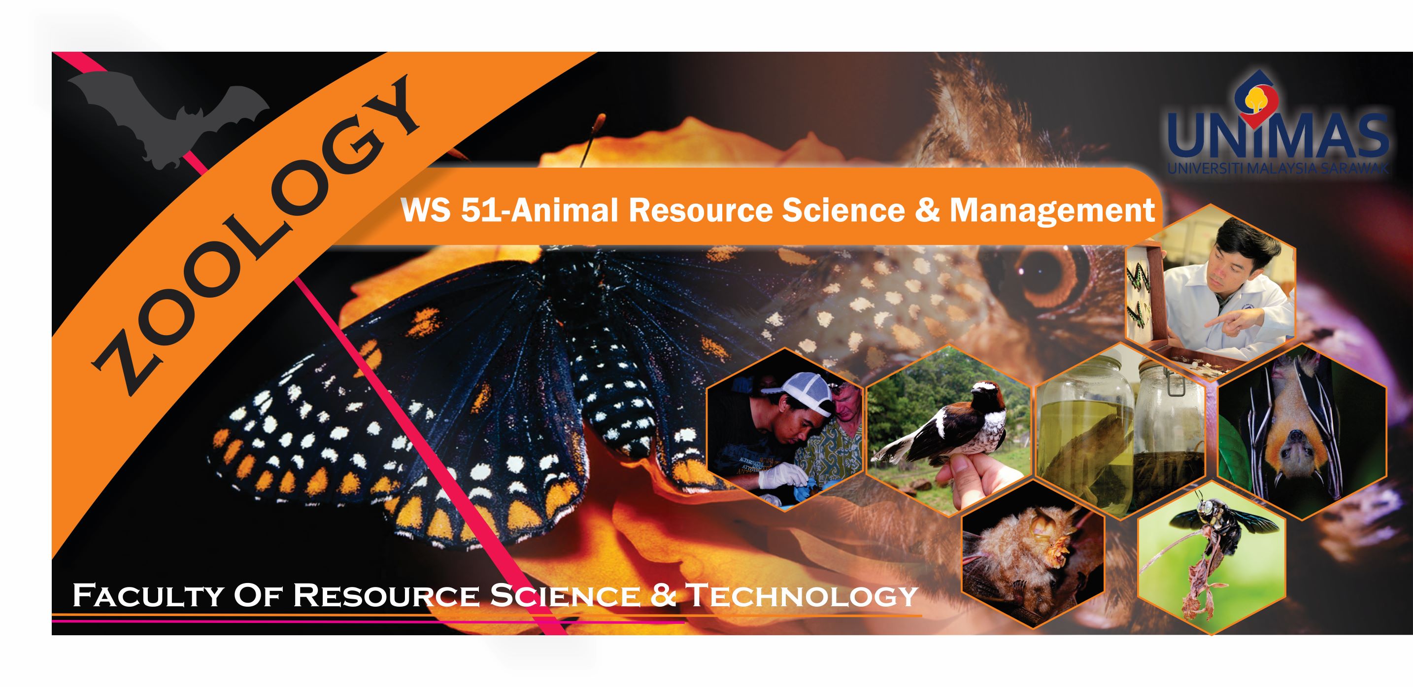 WS51 Bachelor of Science with Honours (Animal Resource Science and Management)